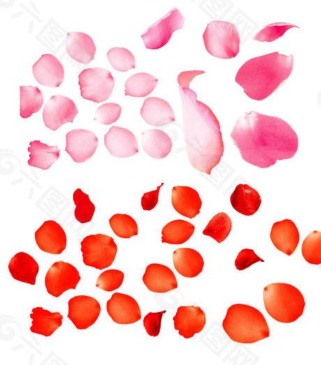 创通网 未盈利科技型企业上市新进展：科创板新增受理1单IPO申请