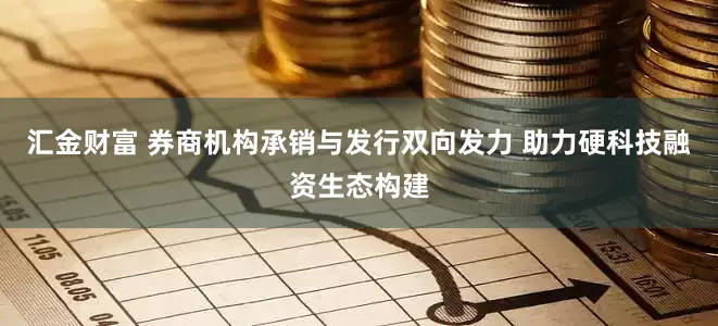 汇金财富 券商机构承销与发行双向发力 助力硬科技融资生态构建