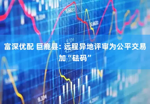 富深优配 巨鹿县: 远程异地评审为公平交易加“砝码”