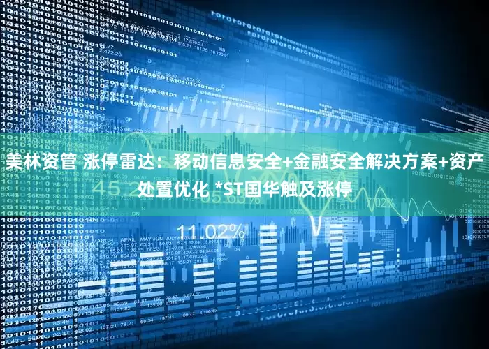 美林资管 涨停雷达：移动信息安全+金融安全解决方案+资产处置优化 *ST国华触及涨停