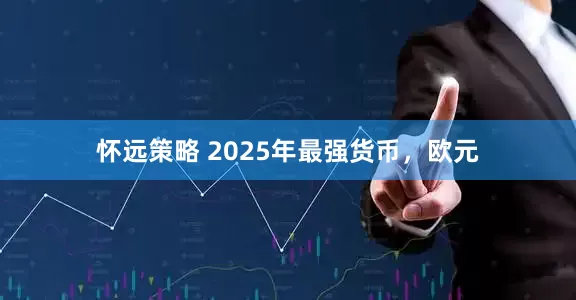 怀远策略 2025年最强货币，欧元