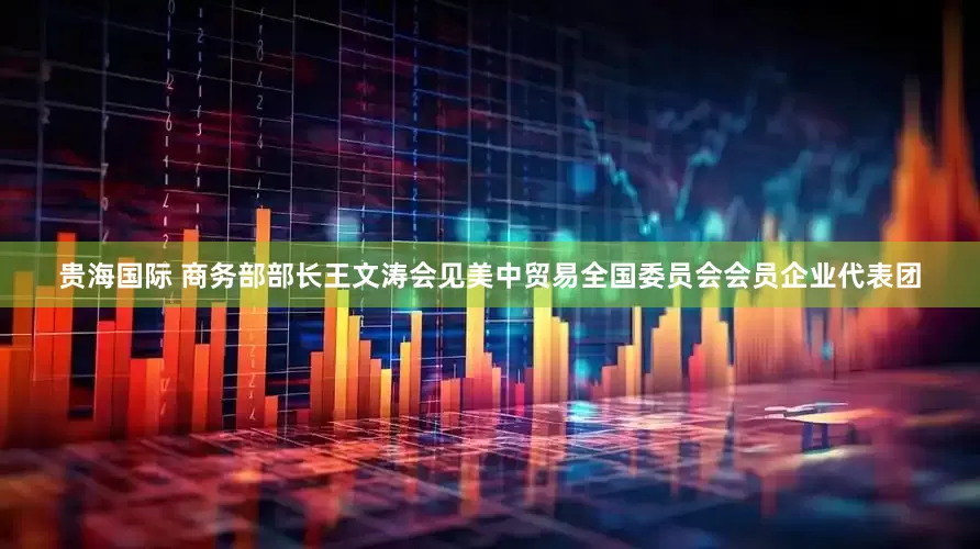 贵海国际 商务部部长王文涛会见美中贸易全国委员会会员企业代表团