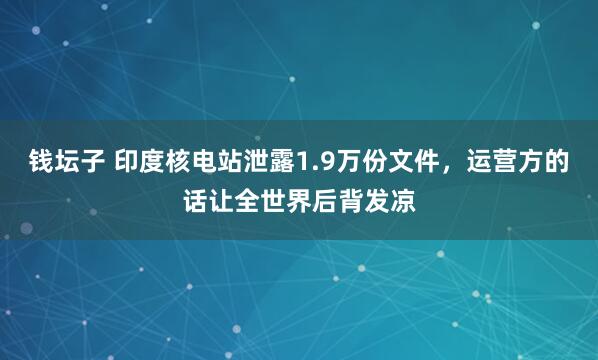 钱坛子 印度核电站泄露1.9万份文件，运营方的话让全世界后背发凉